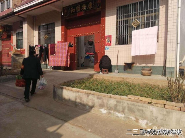 扶风杏林菊花村,宝鸡扶风杏林菊花村