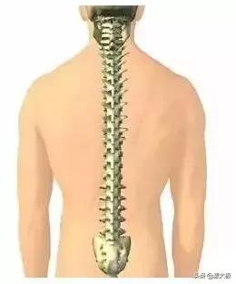 养生背薄一寸,背厚按哪个穴位变薄