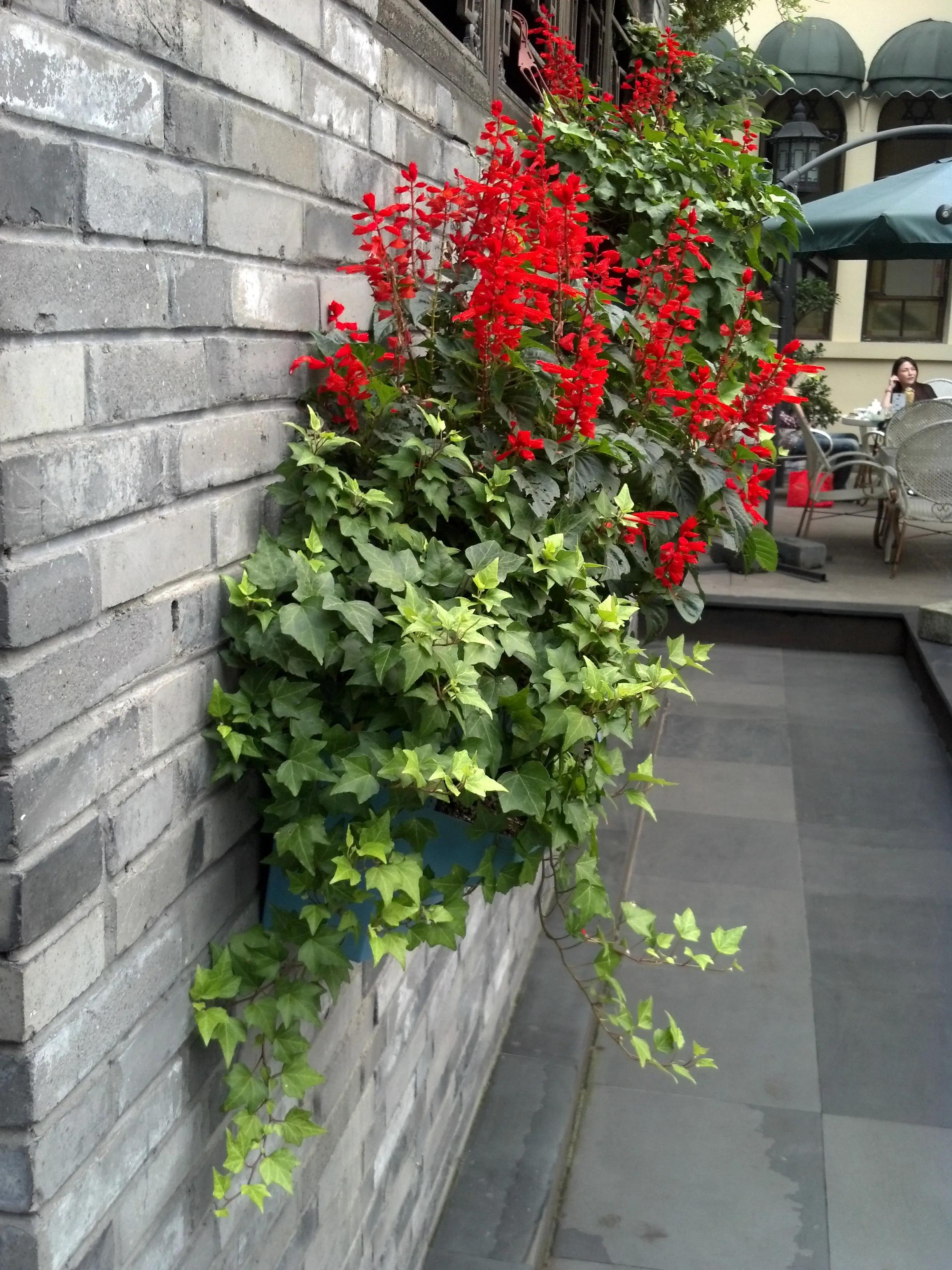 曾经特别火的拍照手机,那些年的拍照手机