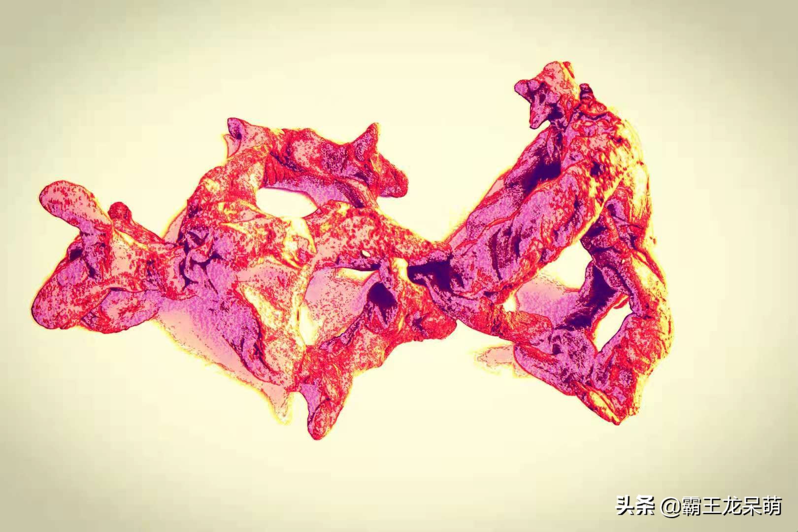 血战骷髅岛,误入骷髅岛