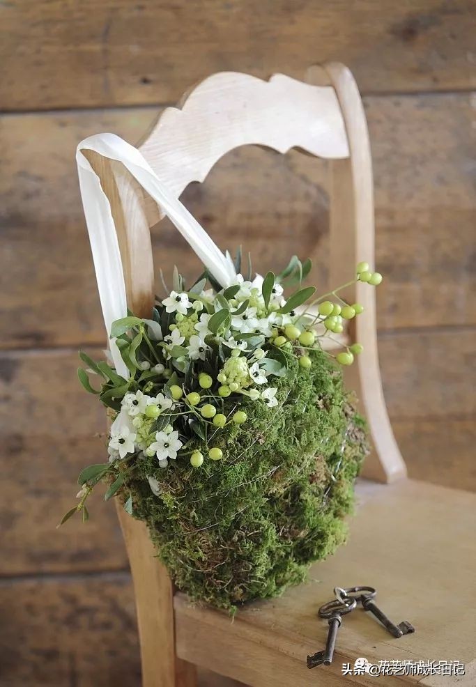 每日一花｜伯利恒之星，可用于治疗癌症，洁白可爱