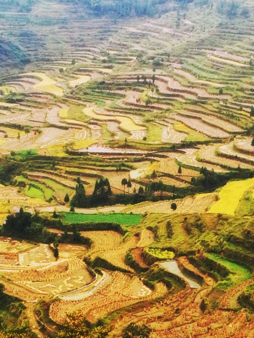 秋天最值得去的四个地方,秋天全部的风景