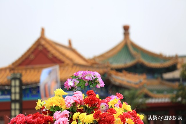 中国牡丹之都的视频,中国牡丹之都创业基地