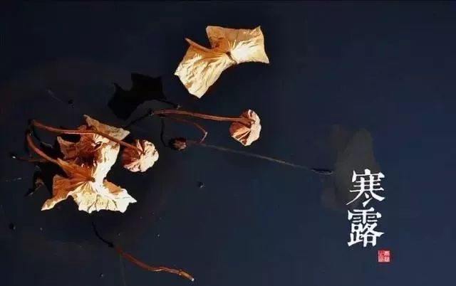 24节气适合喝什么茶,一年最热的节气宜喝什么茶