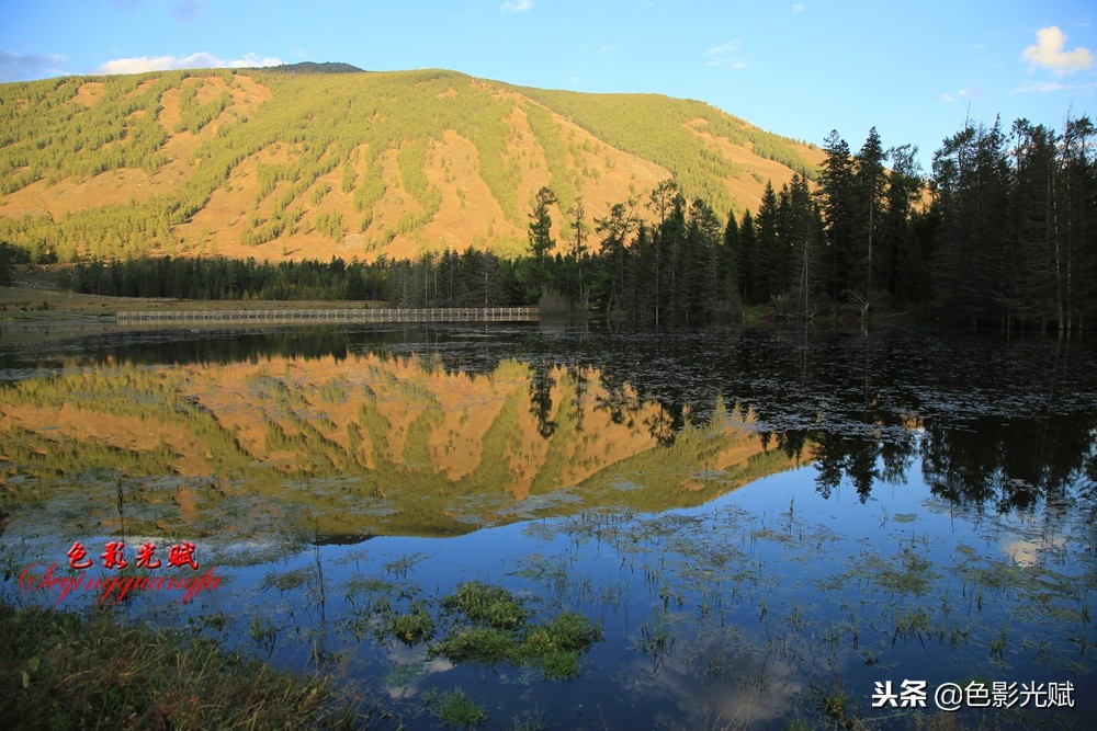 襄阳姐姐游北疆（七）：喀纳斯的惊叹号观鱼台