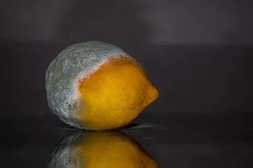 食物烂了一点，还能不能吃？这4类真不能吃，伤肝又伤肾