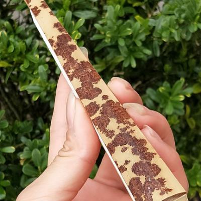 “老坛酸菜”汪涵收藏古董不识货被骗？