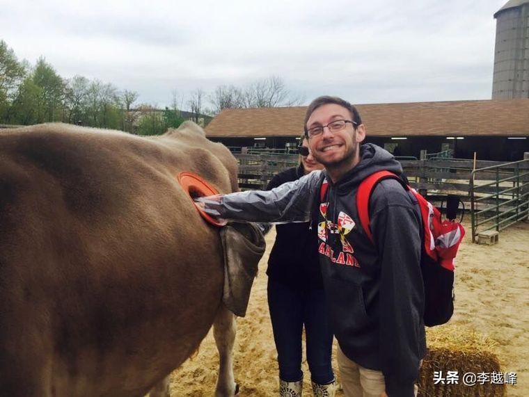 美国养牛为什么要在牛身上挖洞,美国人养牛在牛身上开洞是真的吗