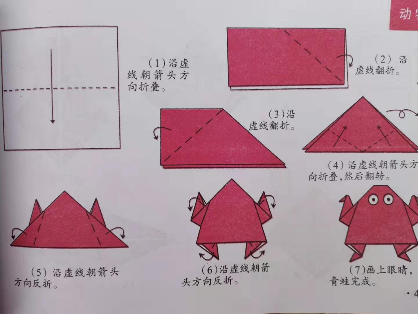 5—8岁儿童手工折纸一等奖,最好玩的亲子折纸