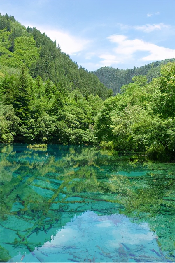 超火「全国旅游年卡」来了！25+条旅游线任性畅玩，2人只要1999元