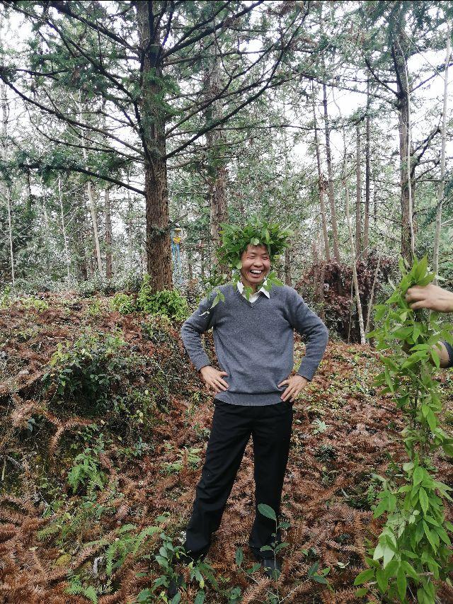 四明山哪里有山黄精,上方山三宝之一黄精