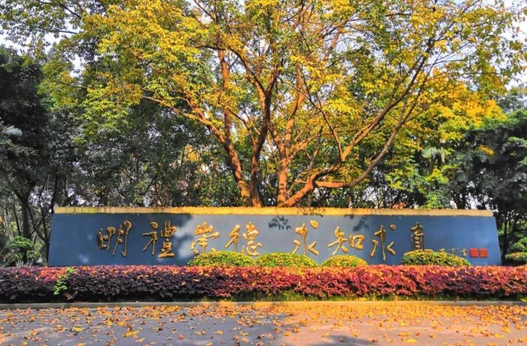 重庆高中以前最牛逼的学校,重庆七大直属校985升学率