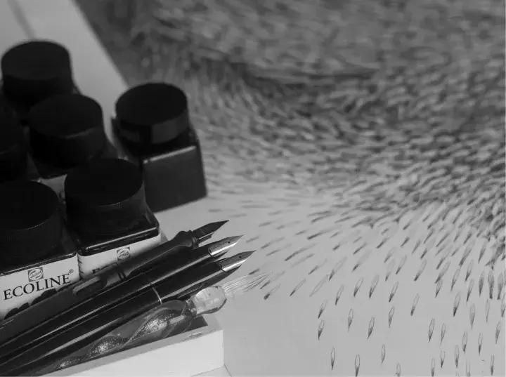 小央美钢笔画视频,极品五大钢笔画简直美爆