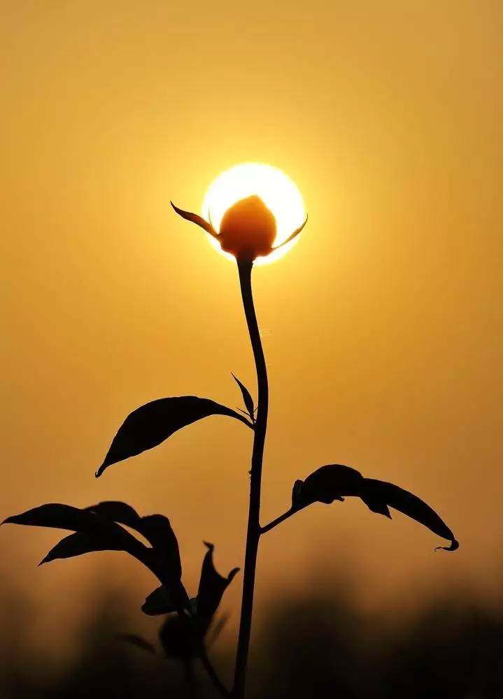 一个顶尖交易员的感悟,交易员怎样始终掌握心理优势