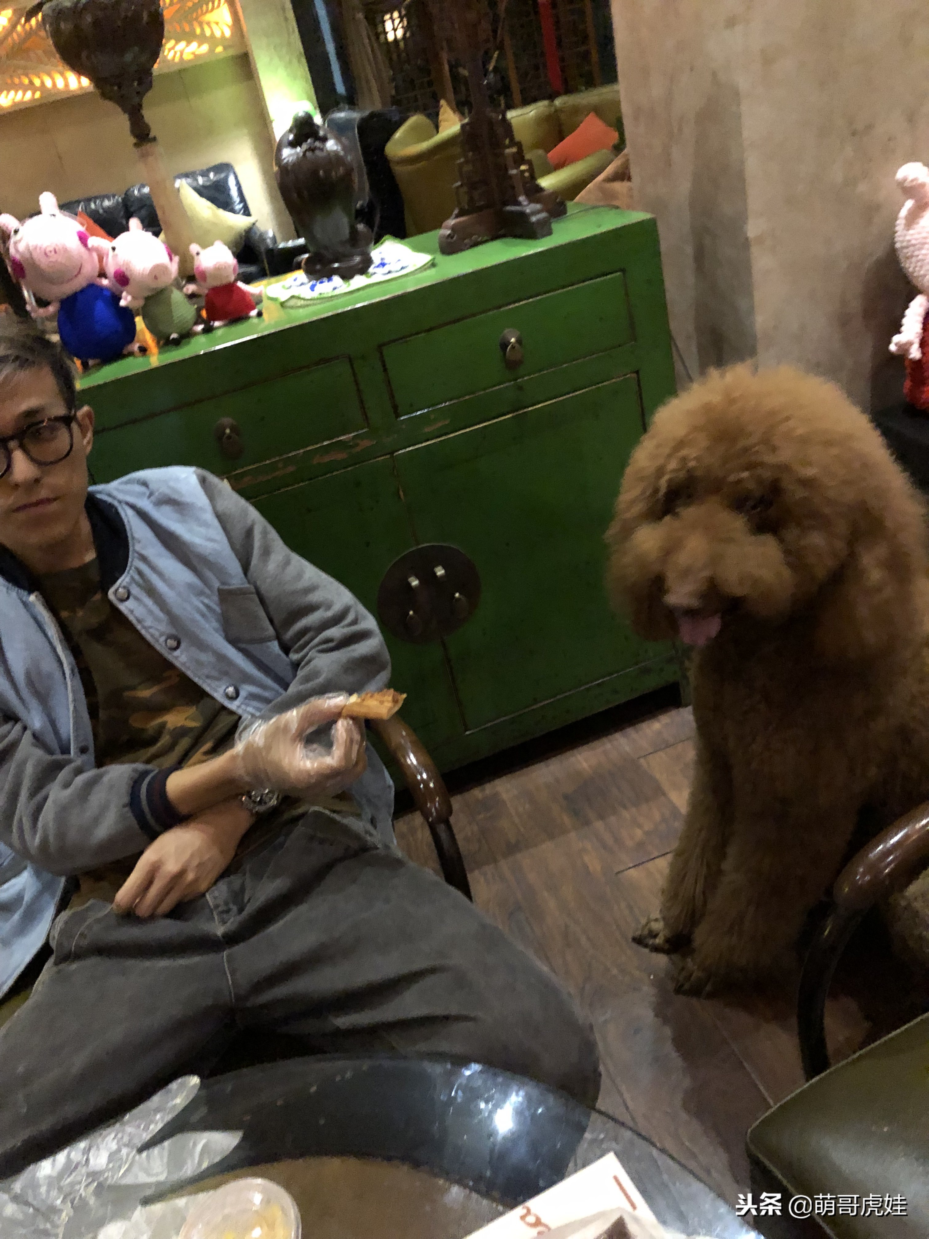 自从养了一只狗偷偷吃东西,自从养了狗偷吃东西都得偷偷摸摸