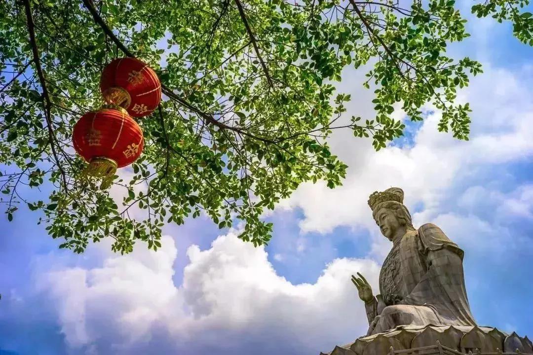 厦门观音山周边五星级酒店,观音山住宿推荐酒店