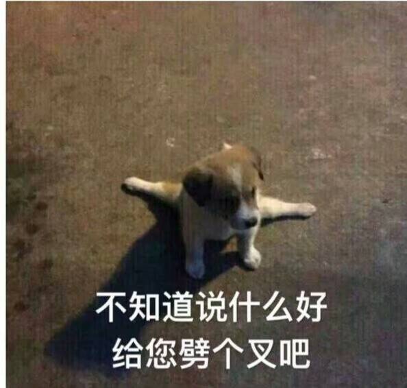 2019年热词英文版,三农热词2019年