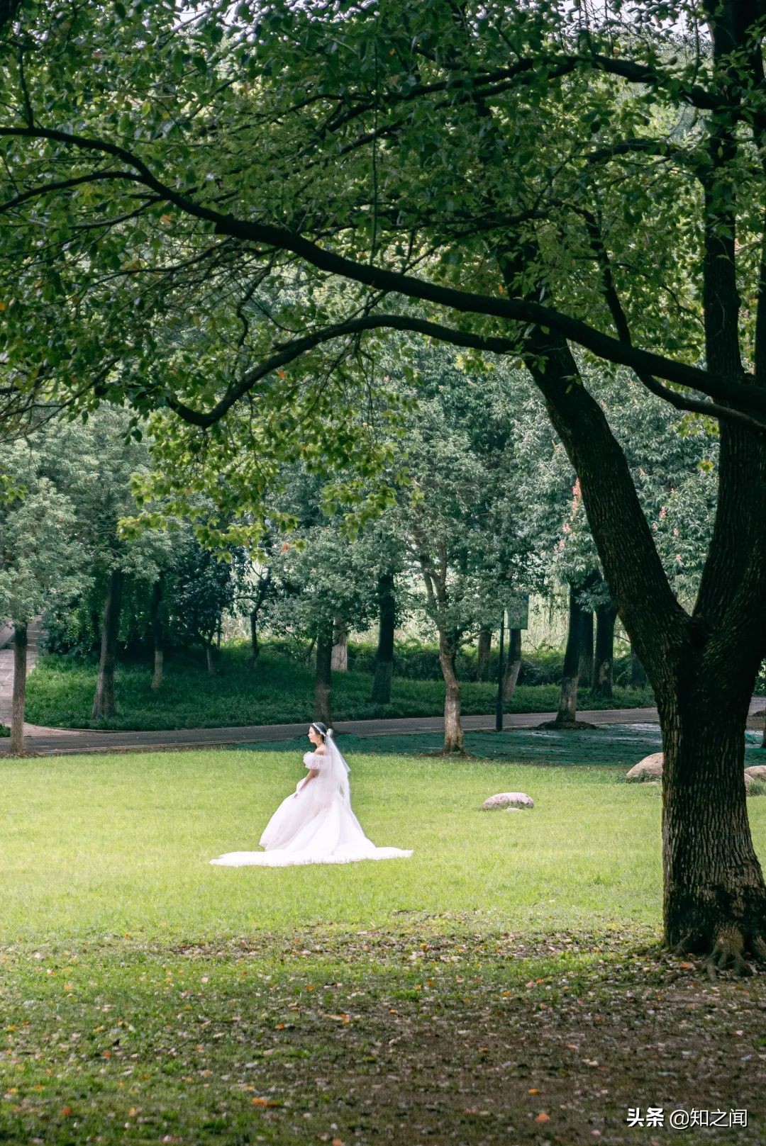 中国车谷，别低调了！你真的很OK