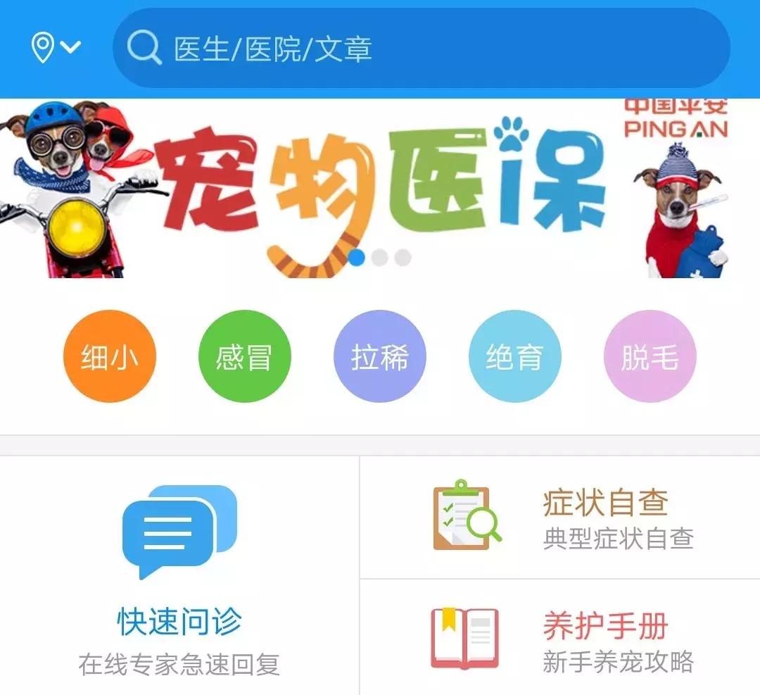 从学猫叫到猫爪杯，千亿级萌宠市场，下一个风口离你有多近？