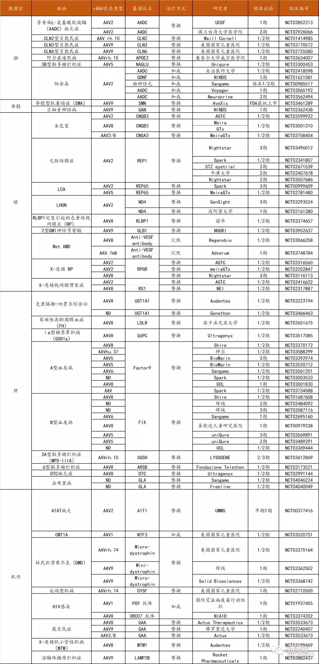 基因治疗的研究现状及发展前景,基因治疗研究内容及其前景