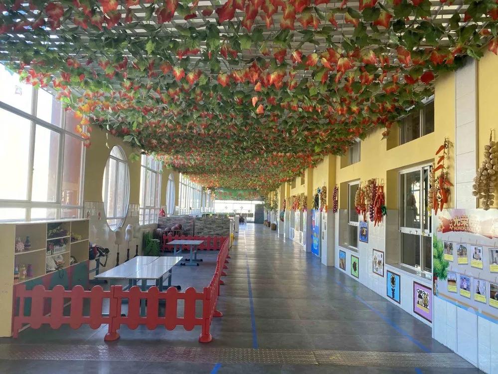 寻找最美校园|梦想启航的地方（幼儿园篇）