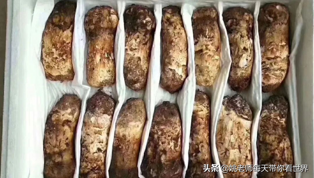 玩遍北京打卡新地标,最新景点网红打卡地