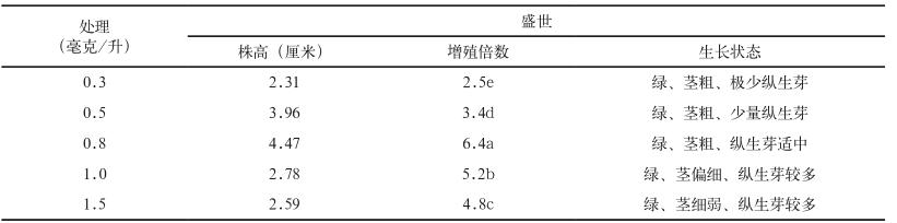 蓝莓组培快繁,蓝莓组培苗种植方法和管理