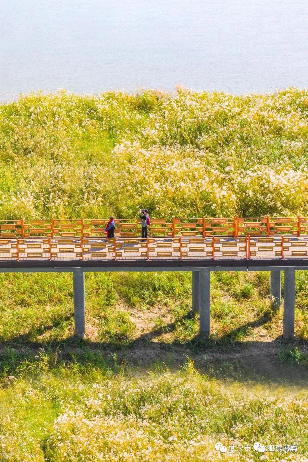 武汉江滩的那些事,武汉江滩的故事