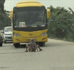 真正的*男猛**擅长挨打