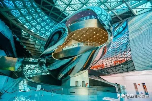 深圳有哪些地方免费景点,深圳都有什么景点免费游玩