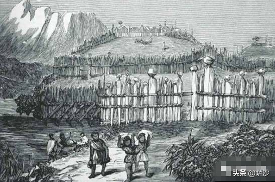 毛利人对抗白人,毛利人和英国人战争