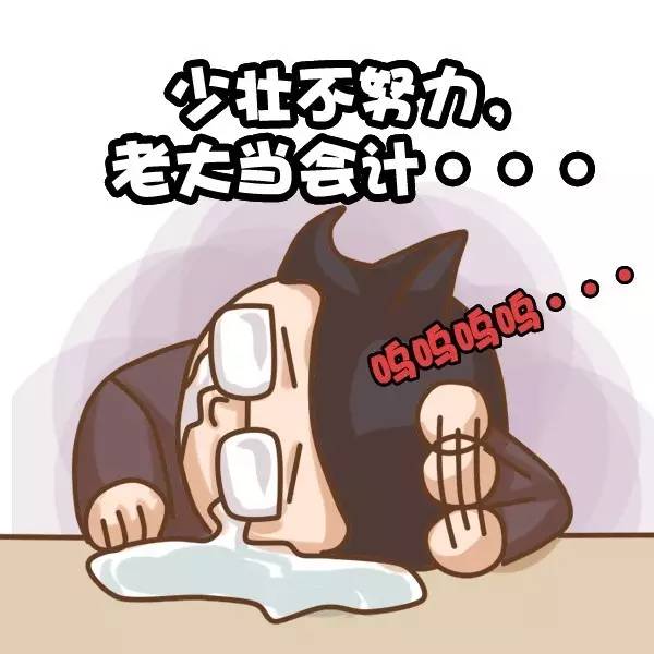 会计学习入门阶段的总结,会计的基本常识课程