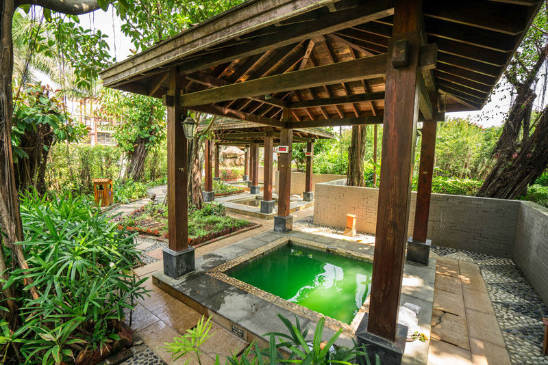 厦门天沐温泉年票,厦门天沐温泉恐龙侏罗纪