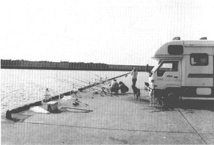 「日本专业海钓入门投钓书籍」新手海钓首选投钓，比浮钓易操作