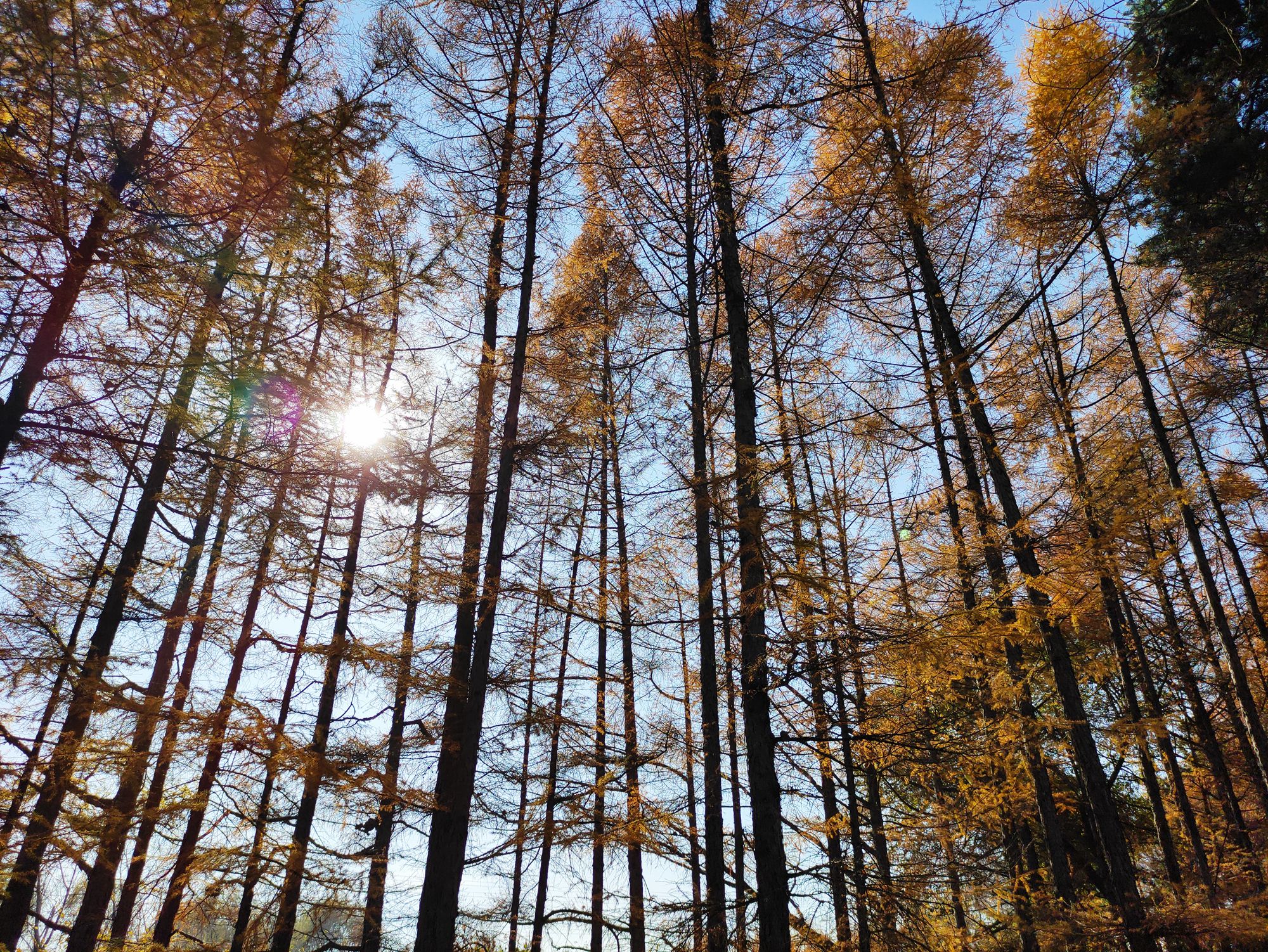 欣赏年画、邂逅大海、闲逛宜家，将生活过成诗与远方