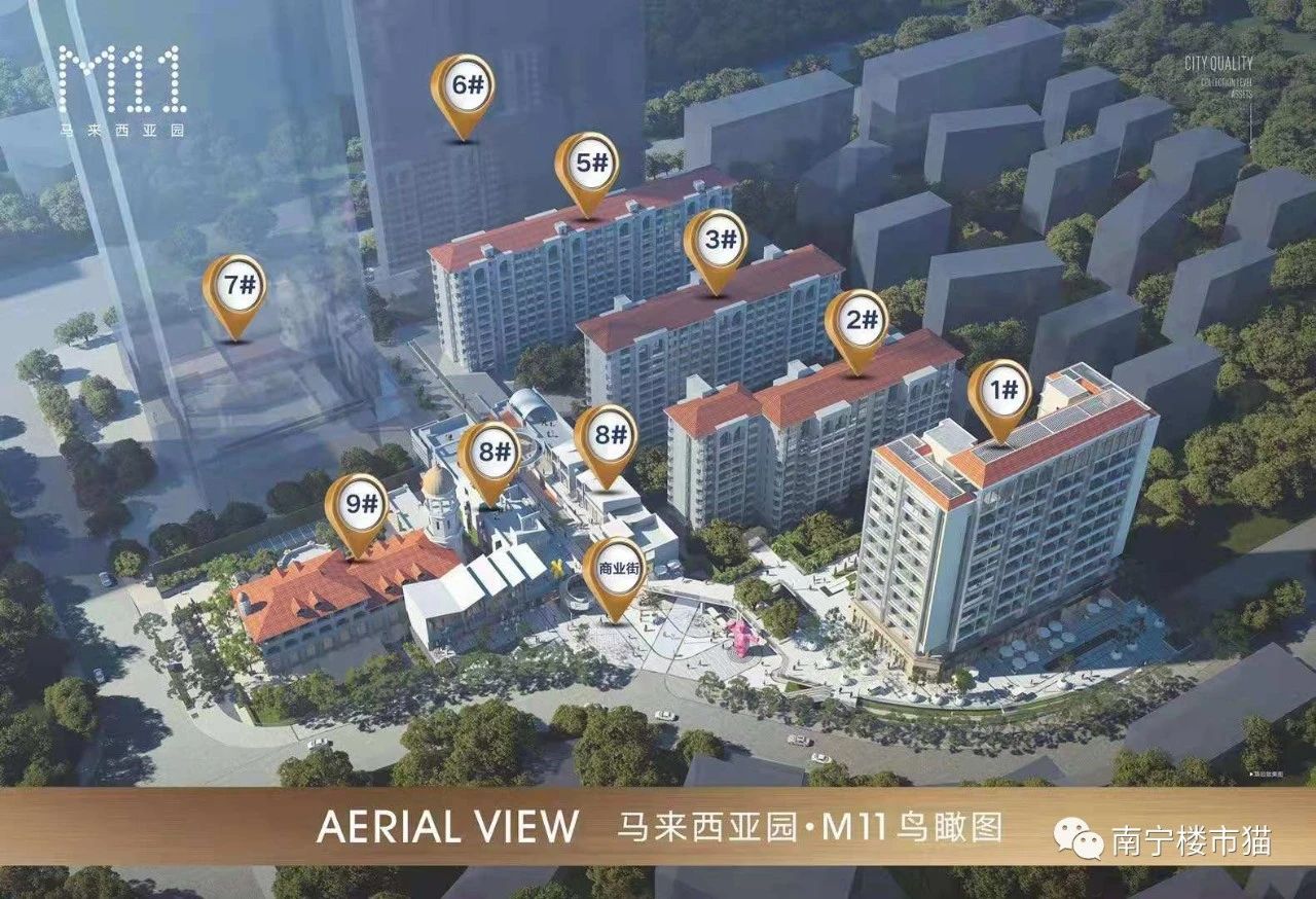 东盟商务区值得入手的楼盘,东盟商务区学位房评测