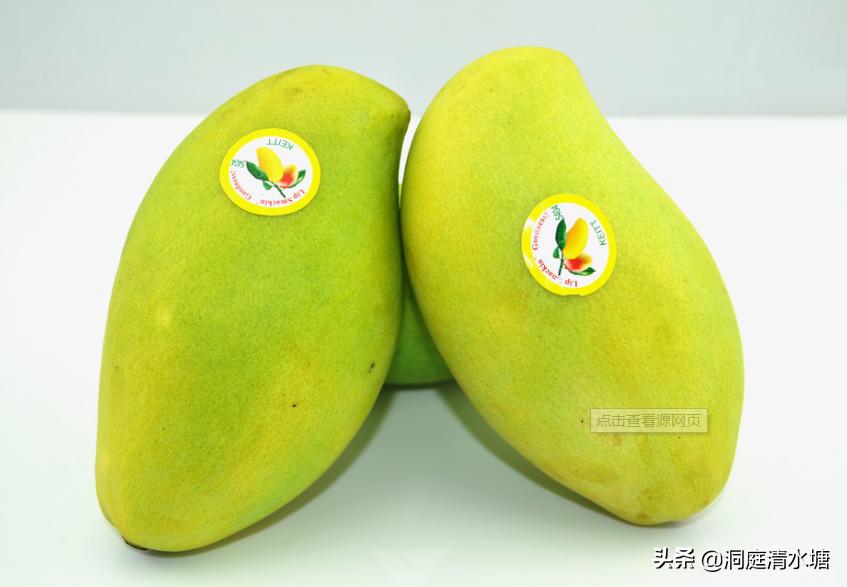 它是芒果中的“爱马仕”，产自海南，一点不比国外的差，你了解吗