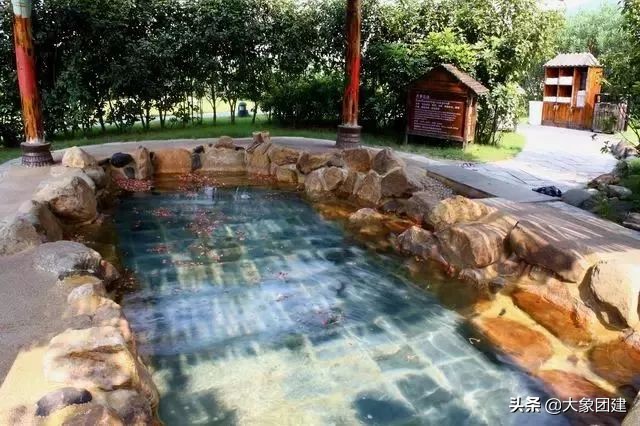 森波拉度假森林酒店,原始森林里的酒店