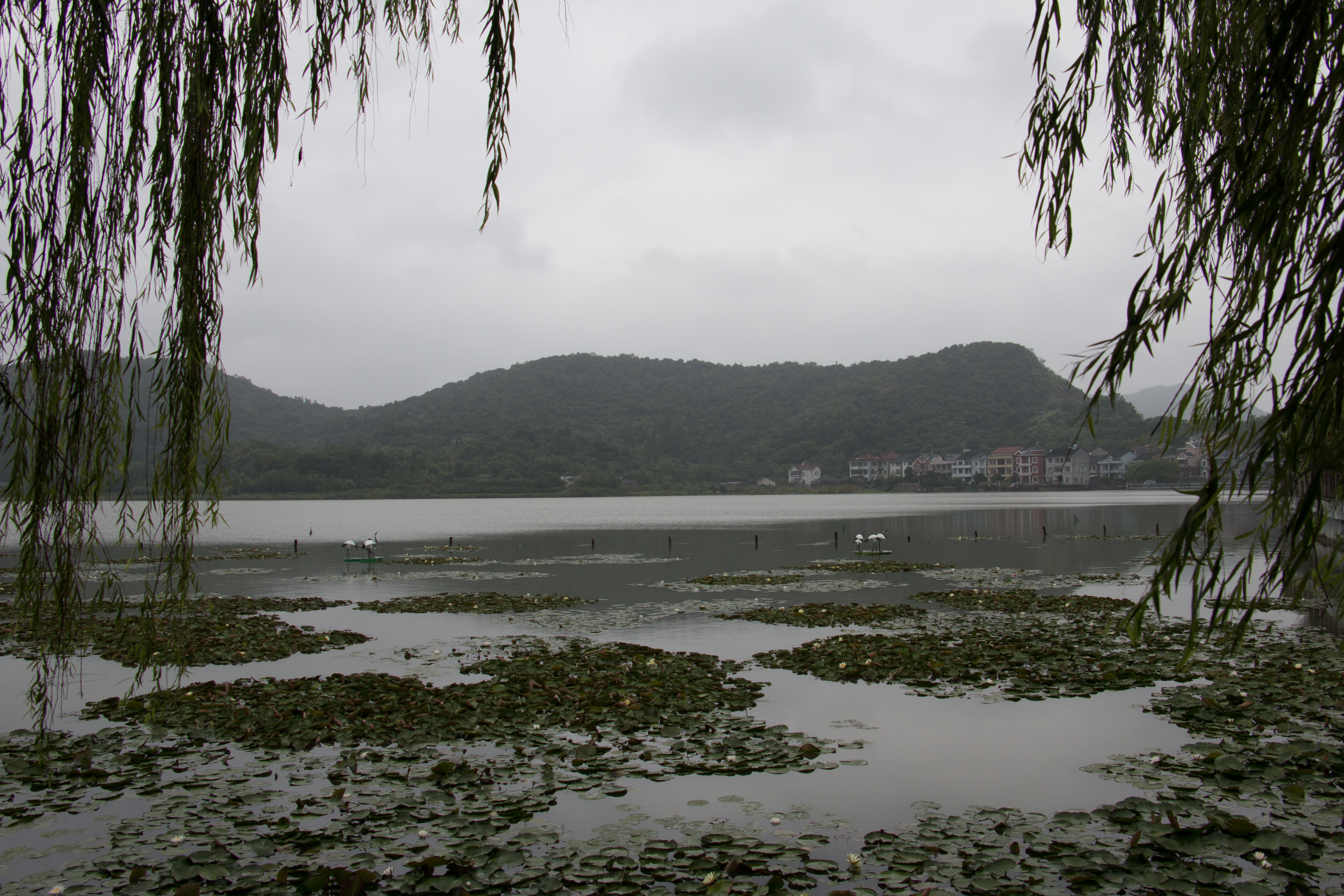 鹤皋古镇,鸣鹤古镇绕湖路