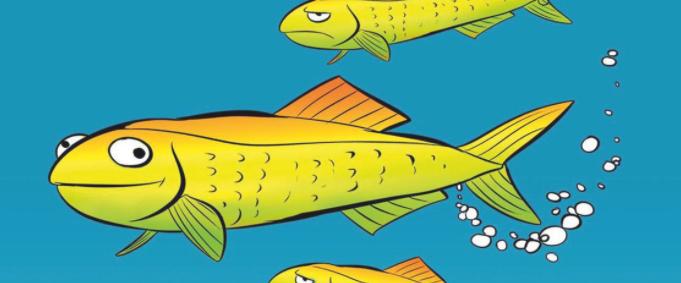 猫在床上尿臭味怎么消除,猫咪放了屁整个身子都臭