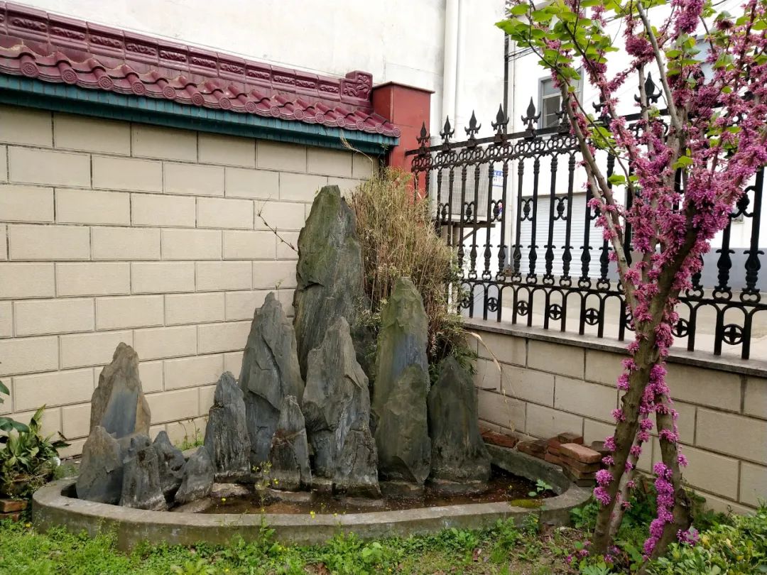 羡慕!快来看看江阴申港街道这些“美丽”榜样