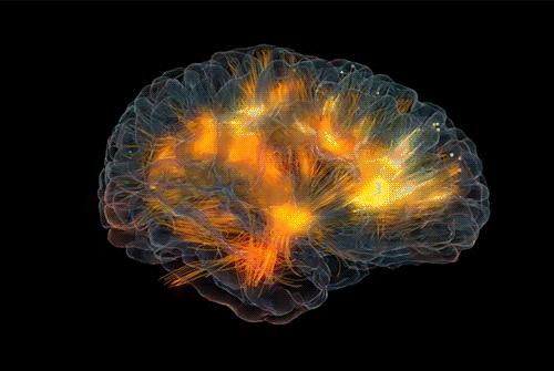 对诊断癫痫最有帮助的检查是,癫痫排查高频脑电波