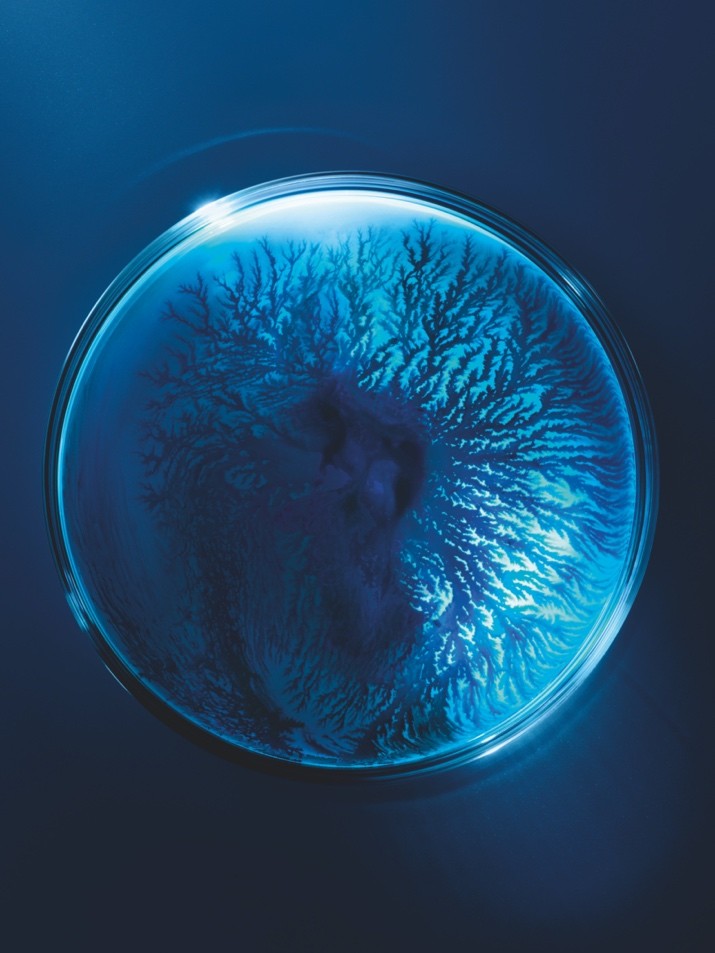 碧欧泉云朵霜大油皮,碧欧泉屏障修复面霜和云朵霜