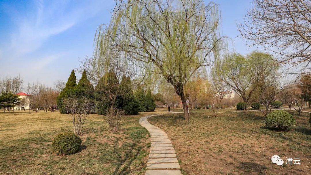 天津2022年四月开放的公园,天津北辰郊野公园现在开放吗
