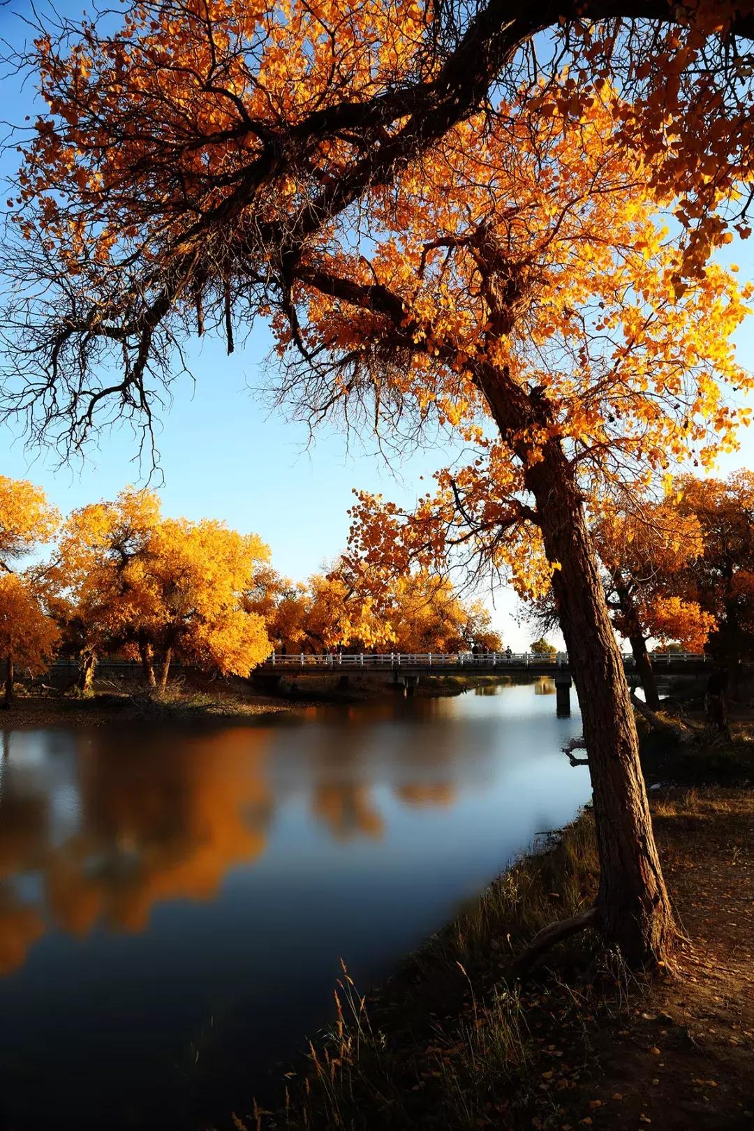 十年风雨江湖路,十年人间历程