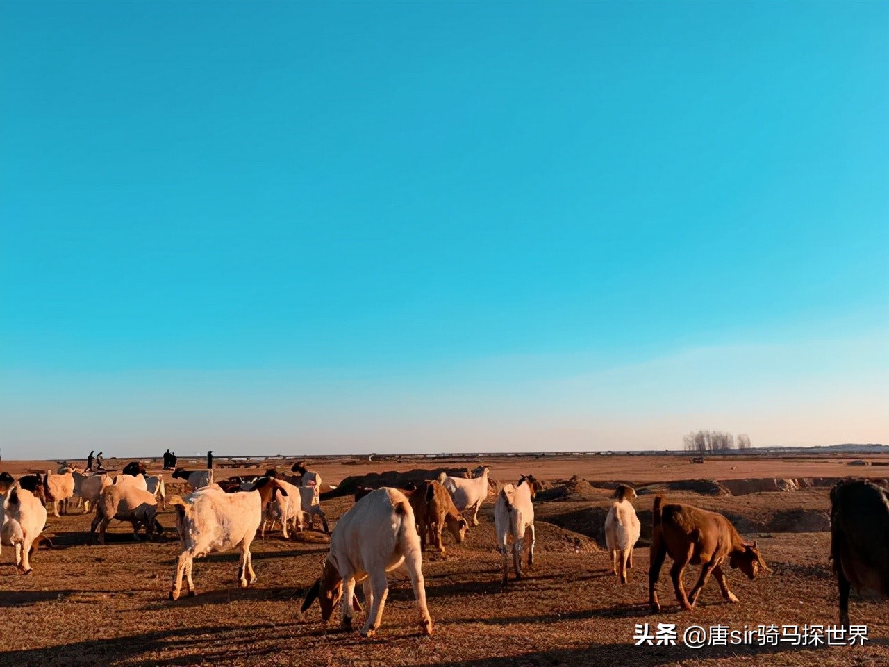 打卡南昌呼伦贝尔大草原,南昌呼伦贝尔草原行