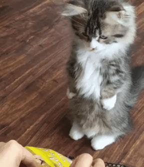 足球场上没有绝对的强和不强,足球场上不可思议时刻