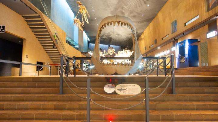 二战期间日本轰炸过的城市,二战时期东京最猛烈的一次轰炸