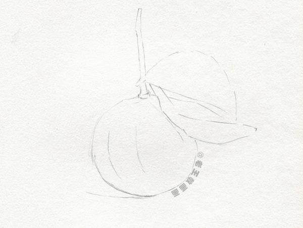 会画画的都会画素描吗,有的人说我不会画素描