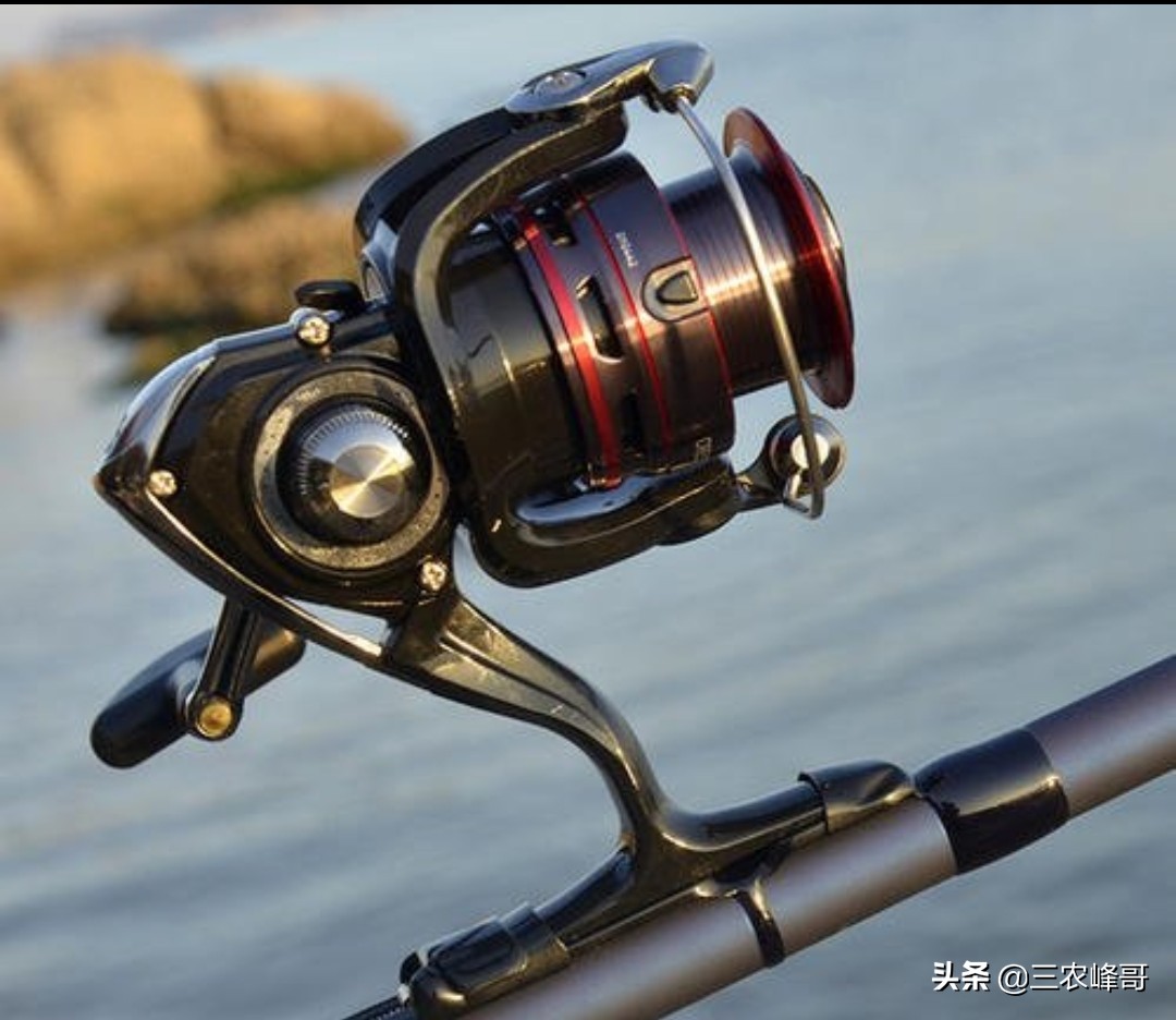 雷强黑鱼装备怎么选,雷强打黑装备搭配推荐